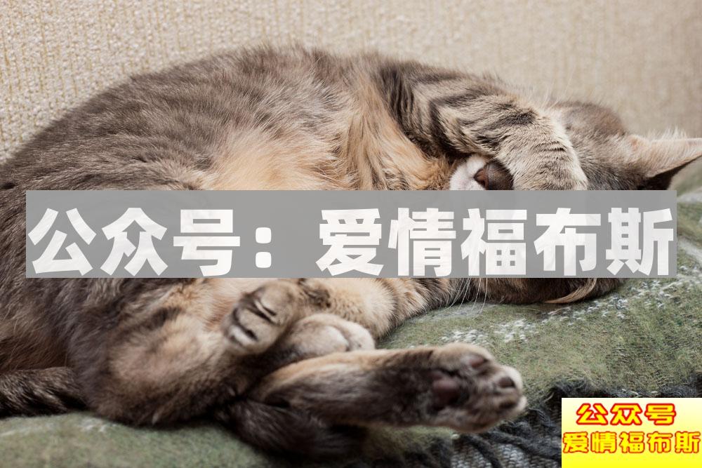 女生发晚安时 男生应该怎么回复