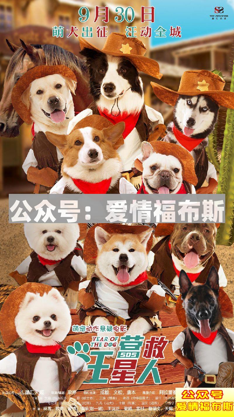 约会看什么?2018国庆档电影汇总第3张