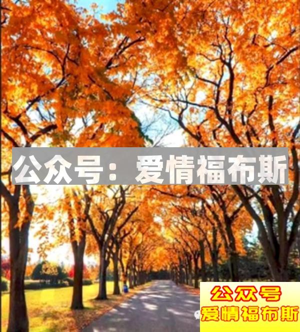 怎么和刚认识的女生聊天