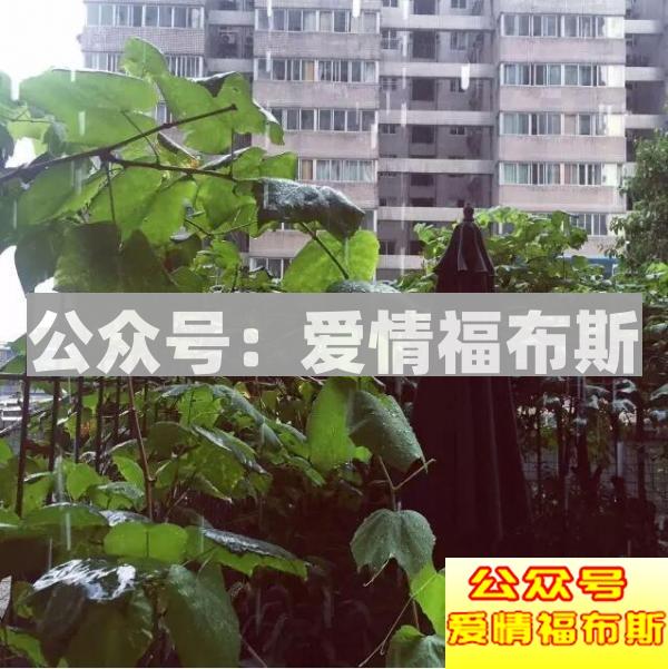 高端男士泡妞展示面照片