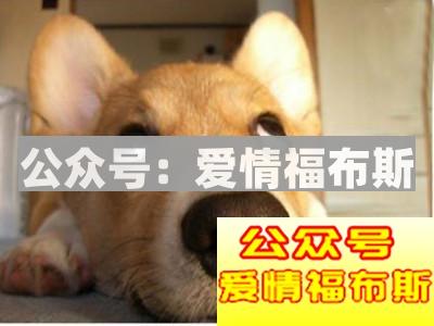 12星座谁才是冷战界最强王者?