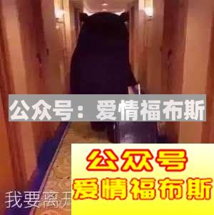 和女生聊天的开场白第4张