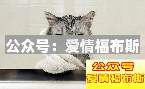 和女朋友同居的日子