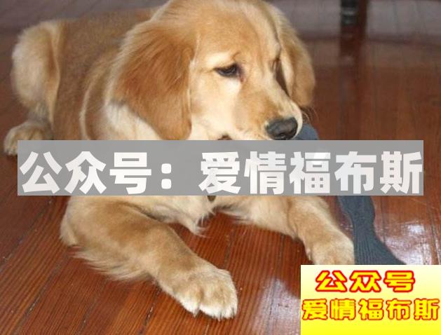 你的另一半的奇葩行为有哪些？第2张