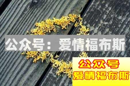 感动挽回女友的话经典！第2张