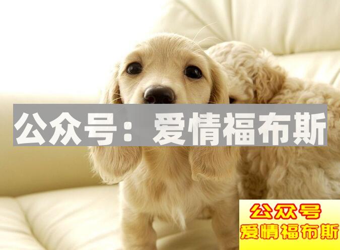 探探展示面怎么做?