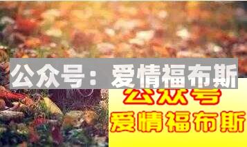 女生说做朋友的潜台词,女生说做朋友意味什么第4张