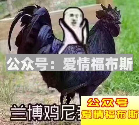 这些车不仅男生钟爱女生也喜欢第20张