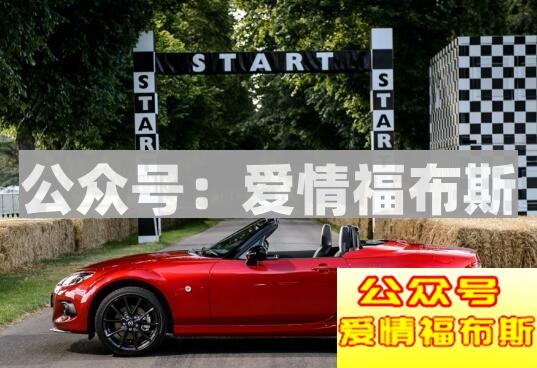 这些车不仅男生钟爱女生也喜欢第35张