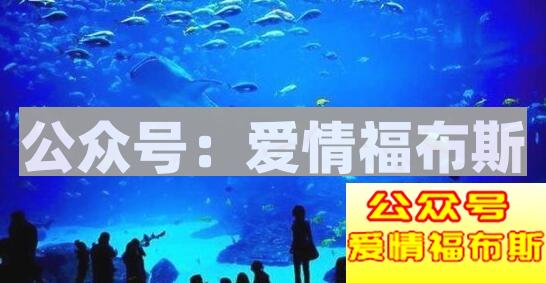 周末情侣约会去哪里？除了看电影还有什么？