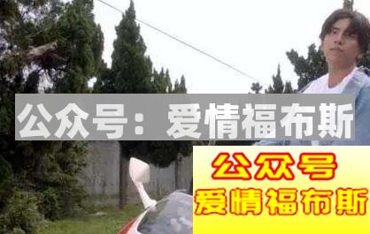 玛丽苏是什么意思 什么样的女生是玛丽苏