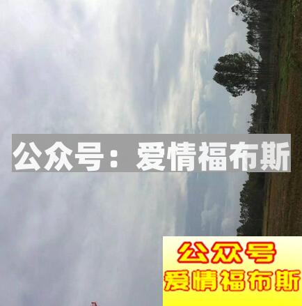 可复制的高大上朋友圈