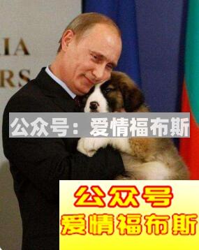 养什么宠物容易撩妹 宠物撩妹技巧大公开