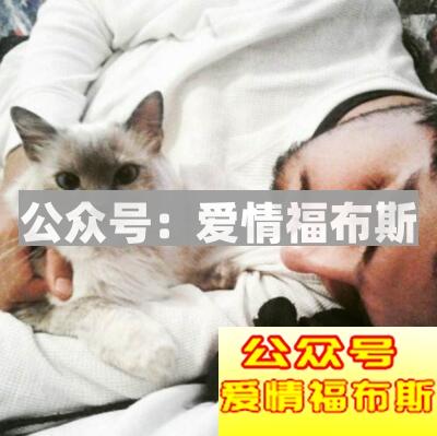 养什么宠物容易撩妹 宠物撩妹技巧大公开