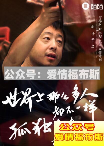 2018最火的聊天约会软件