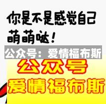 台湾男生追大陆东北女生会怎样