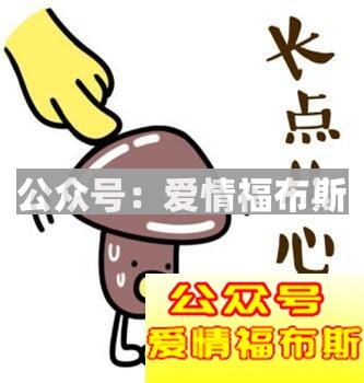 台湾男生追大陆东北女生会怎样