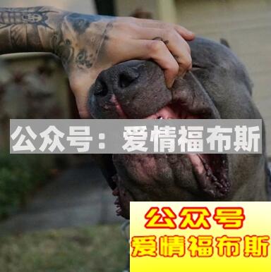 如何甩掉女人 甩掉女朋友的方法