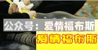 避孕套如何选择？避孕套使用测评第36张