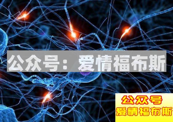 女生为什么喜欢有腹肌的男人?(全面解析)第3张