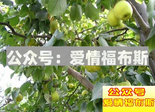 天气热情侣到哪里去约会,夏天情侣约会地点攻略