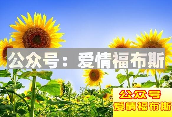 天气热情侣到哪里去约会,夏天情侣约会地点攻略