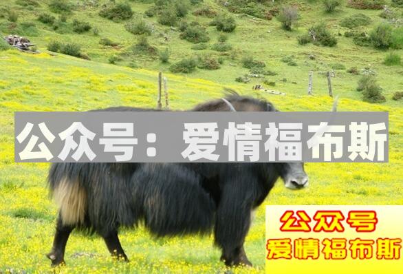 天气热情侣到哪里去约会,夏天情侣约会地点攻略