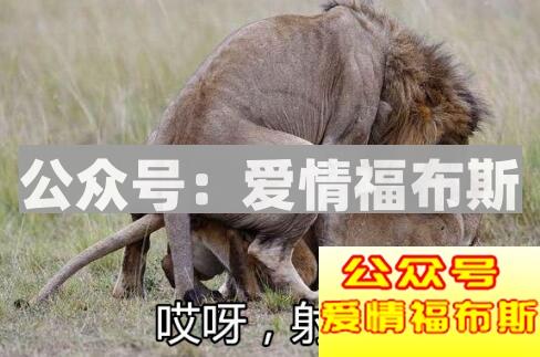 十二星座女谁经验最丰富