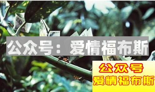 七夕送女友礼物排行榜 7夕节送什么给女朋友