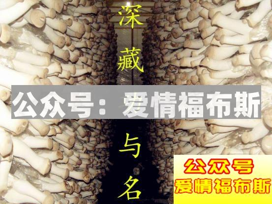 办公室女神与她的男同事第11张