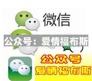 探探和陌陌哪个好,社交软件除了探探陌陌还有什么?