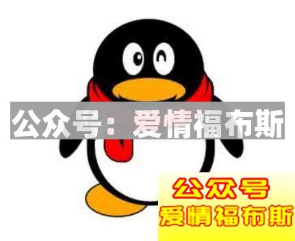 哪个聊天软件好泡妞,什么聊天软件好泡妞