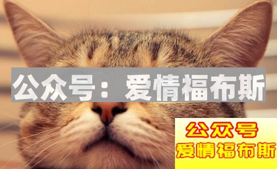 最能吸引女生的朋友圈是什么样的