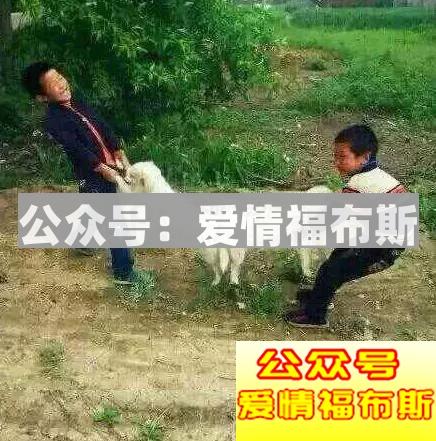 如何找到男朋友电脑里的A片小视频