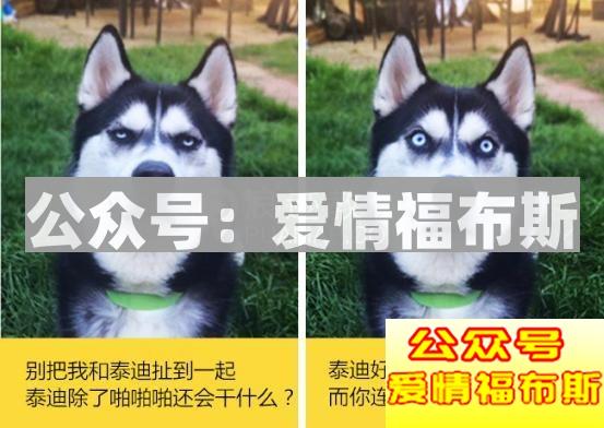 男生找不到女朋友原因,真不是因为条件不好