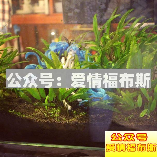 中国女仆咖啡店实地拍摄第8张