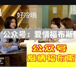 女孩子会喜欢胖子吗? 女生会喜欢胖的男生吗?