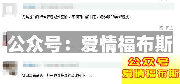 女孩子会喜欢胖子吗? 女生会喜欢胖的男生吗?