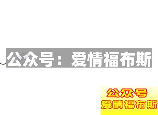 女孩子会喜欢胖子吗? 女生会喜欢胖的男生吗?