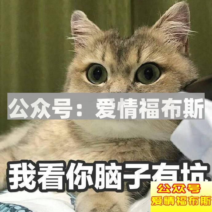 电视剧中常见的撩妹套路你用过吗?