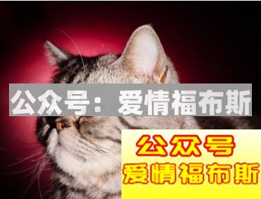 追女生的时候, 这些问题你绝对不能问