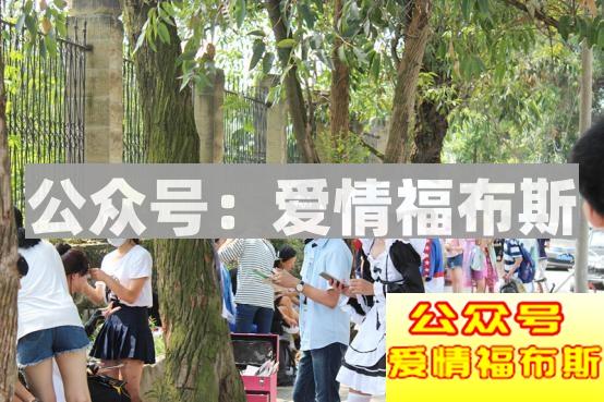 二次元很乱吗?不懂就别瞎扯