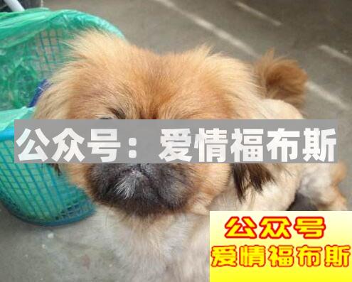 十二星座女谁是冷战高手