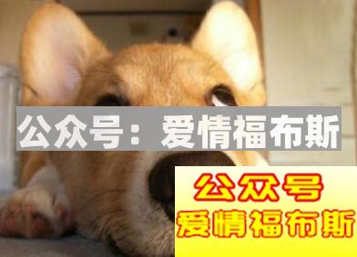 十二星座女谁是冷战高手