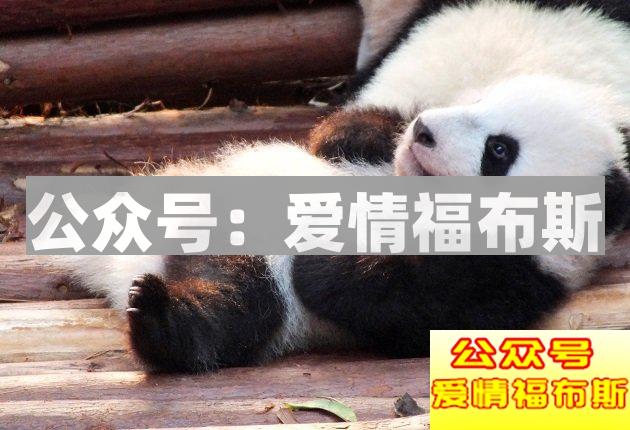 成都的男生,你知道这些约会圣地么?(第二弹)