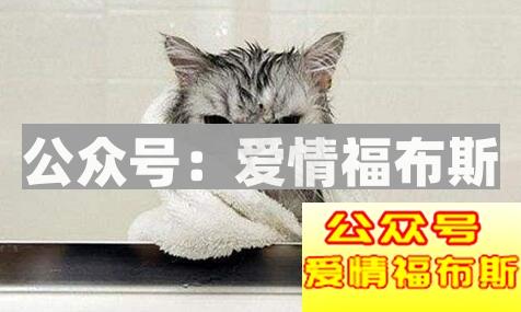 有了女朋友后你的生活会有哪些改变?