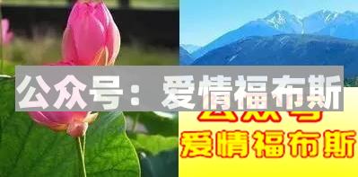 怎么选微信头像,给女生留下好印象?