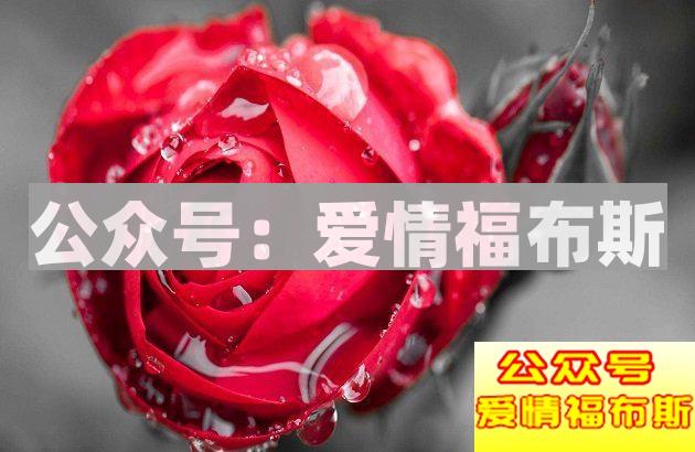 七夕玫瑰花的颜色你送对了么？