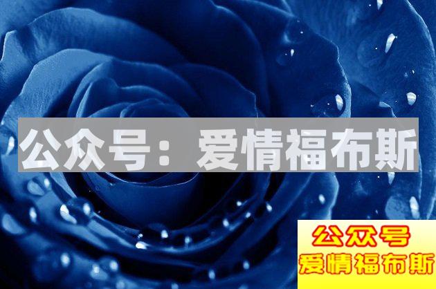 七夕玫瑰花的颜色你送对了么？第5张