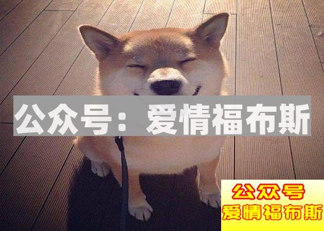 如何攻克养狗的女生？第2张